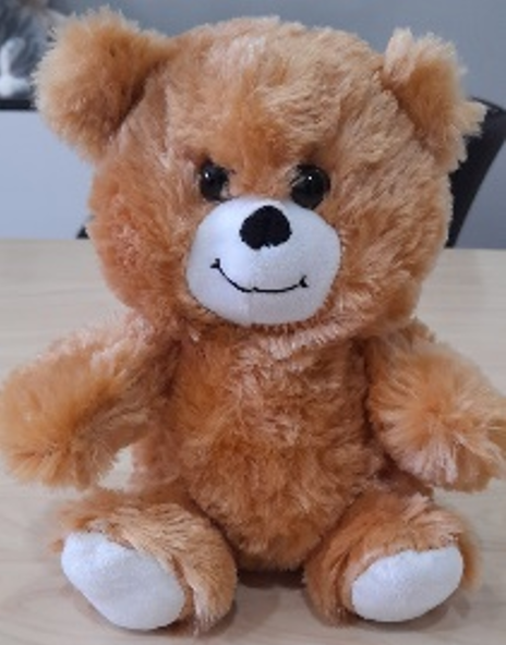 Teddybjörn Brun 20cm / 12